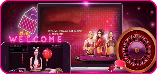 ระบบเว็บไซต์